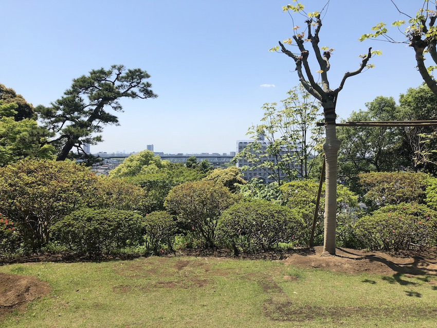 セール人気商品 徳川昭武幕末滞欧日記（松戸市戸定歴史館） - 本