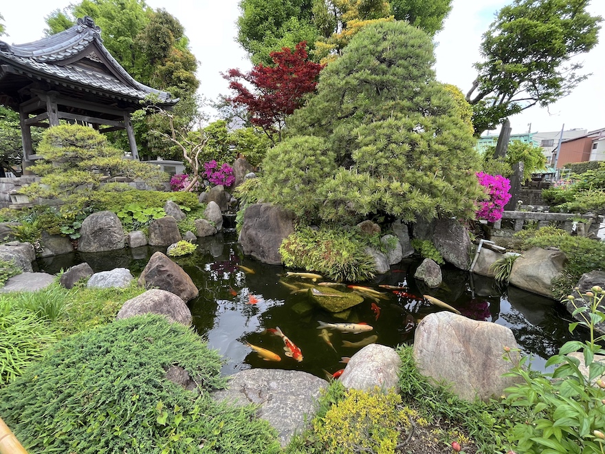 大蓮寺庭園 ― 吉河功作庭…千葉県浦安市の庭園。 | 庭園情報 