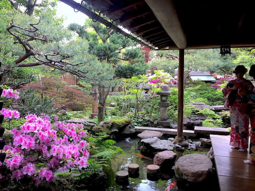 武家屋敷跡 野村家庭園 石川県金沢市の庭園 庭園情報メディア おにわさん