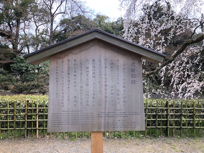 近衛邸跡庭園 枝垂れ桜の名所 京都市上京区の庭園 庭園情報メディア おにわさん