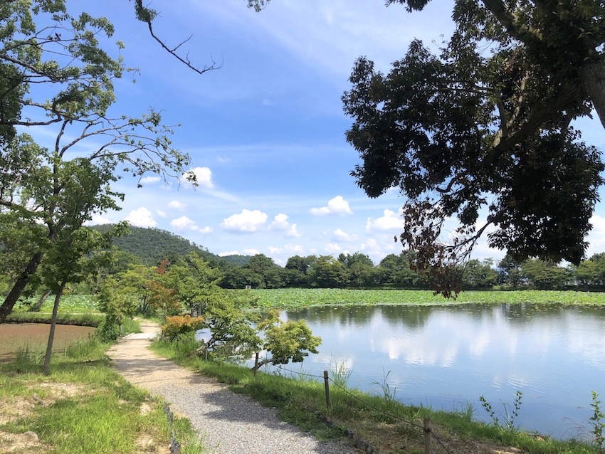 大覚寺大沢池附名古曽滝跡 u2015 京都市右京区嵯峨の国指定名勝庭園 