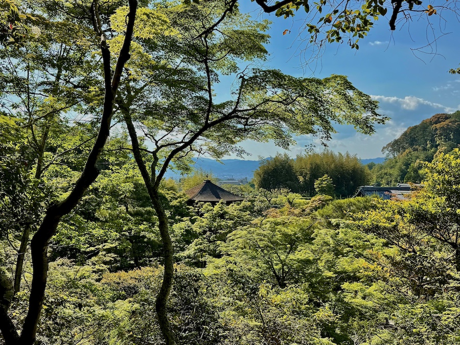 銀閣寺（慈照寺）庭園の新緑 ― 世界遺産／庭も国宝…京都市左京区の庭園