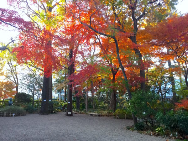 牧野記念庭園 / Makino Memorial Garden, Tokyo