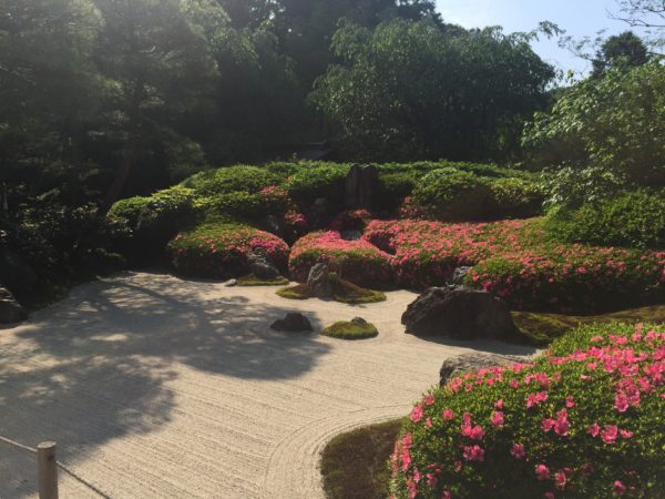 明月院庭園 / Meigetsuin Temple Garden, Kamakura, Kanagawa