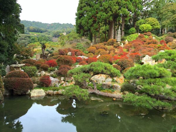 長楽寺庭園“満天星の庭”