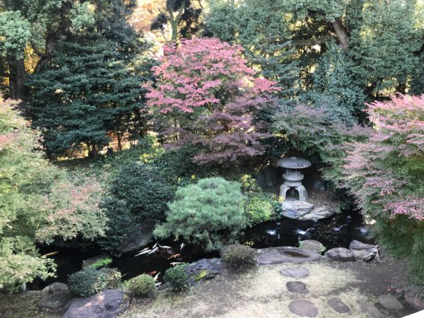旧前田家本邸庭園 / Kyu-Maeda House Garden, Meguro-ku, Tokyo