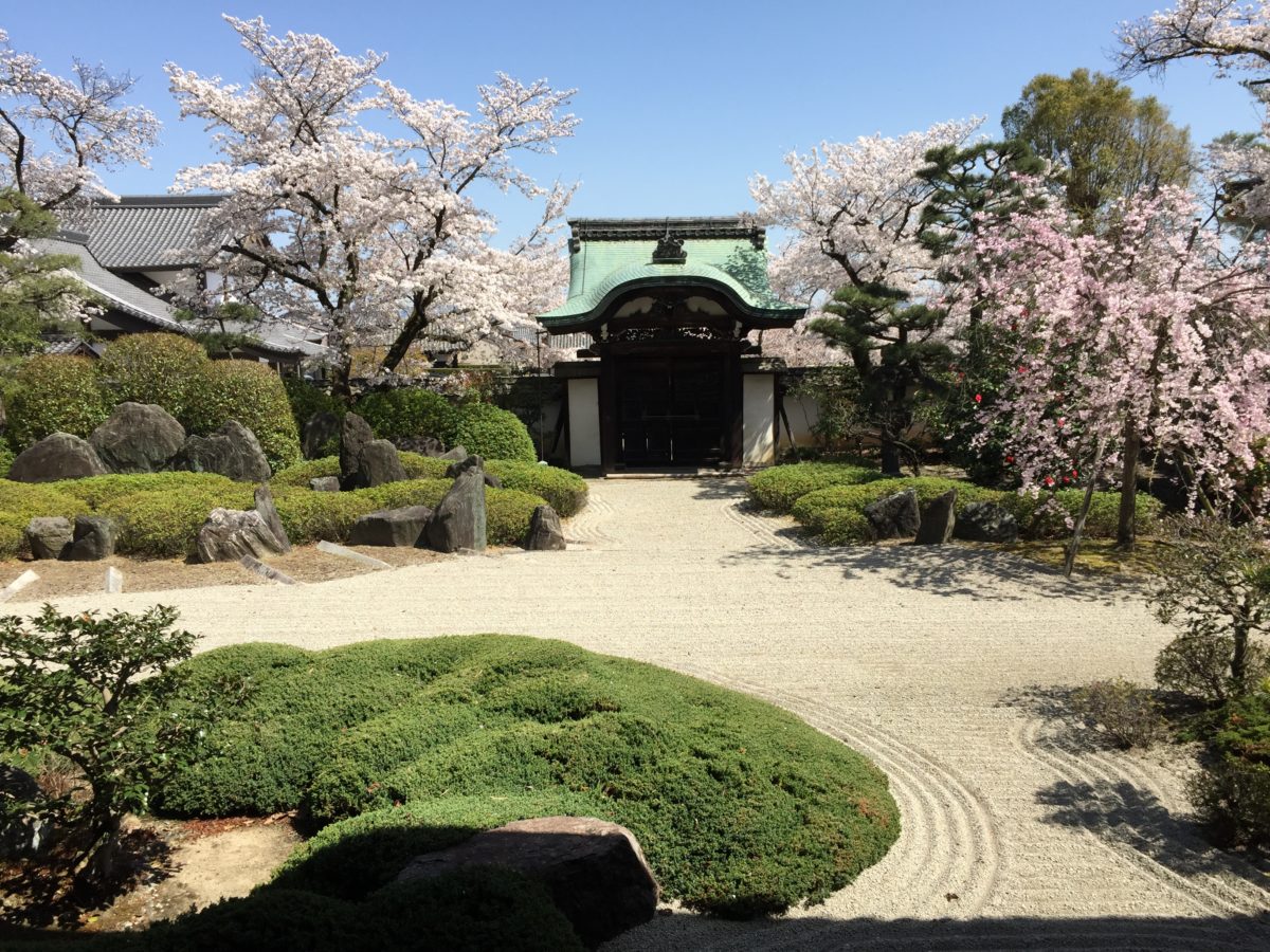 正法寺庭園 京都府八幡市の庭園 京都府指定名勝 庭園情報メディア おにわさん