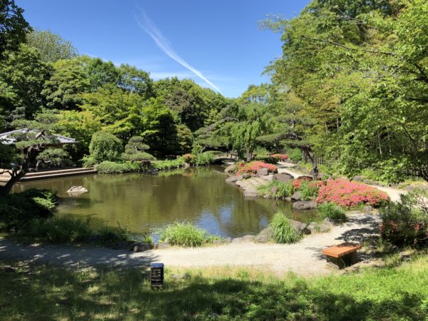 平塚市総合公園 日本庭園