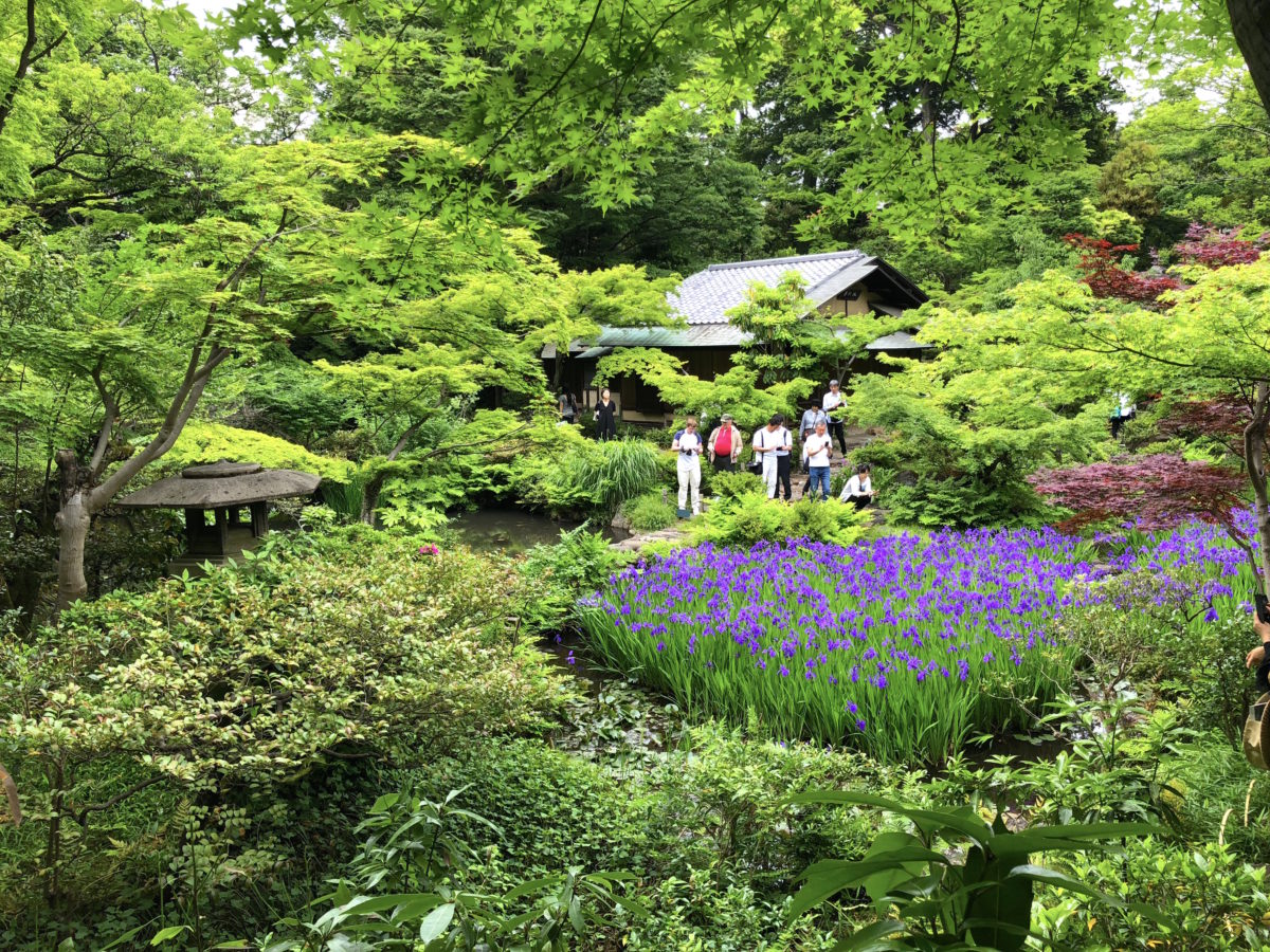 根津美術館庭園 東京都 表参道の庭園 庭園情報メディア おにわさん