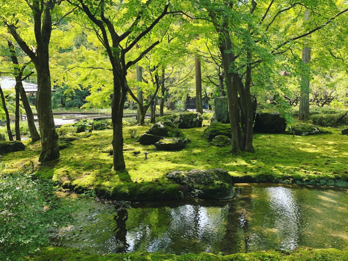 しょうざんリゾート京都庭園 京都市北区の庭園 庭園情報メディア おにわさん