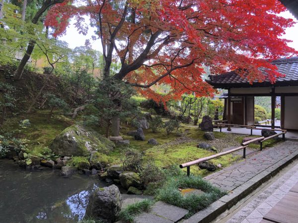 京都の穴場の庭園一覧 50件 庭園情報メディア おにわさん 1500箇所 2万枚の日本の庭園写真を掲載