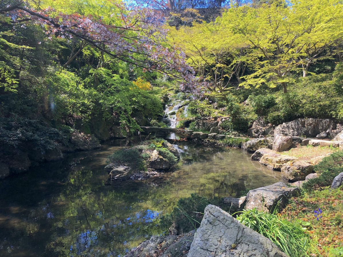 浜松城公園 日本庭園 伊藤邦衛作庭 静岡県浜松市の庭園 庭園情報メディア おにわさん