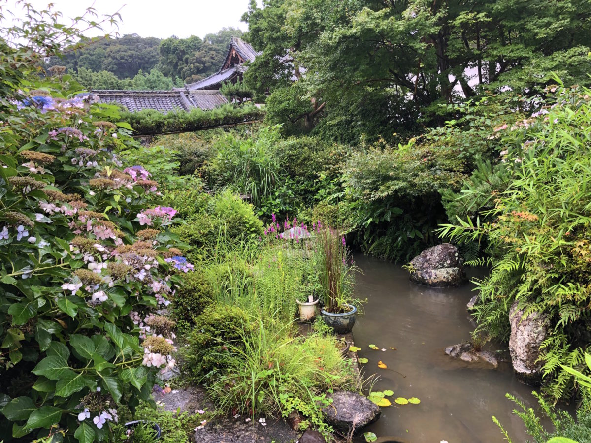 當麻寺 千佛院庭園 ― 奈良県葛城市の庭園。 | 庭園情報メディア【おに 
