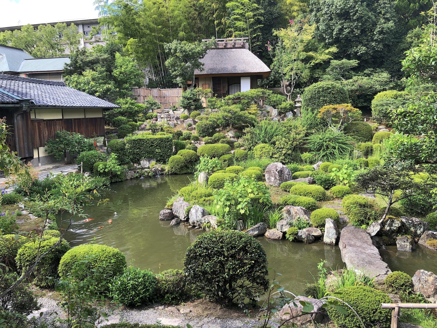 jardin-avec-piscin-forme-rectangulaire-revetement-sol-bois-mur-verre