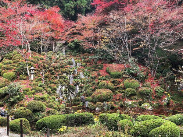金剛輪寺明壽院庭園 / Kongorin-ji Temple Garden, Aisho, Shiga