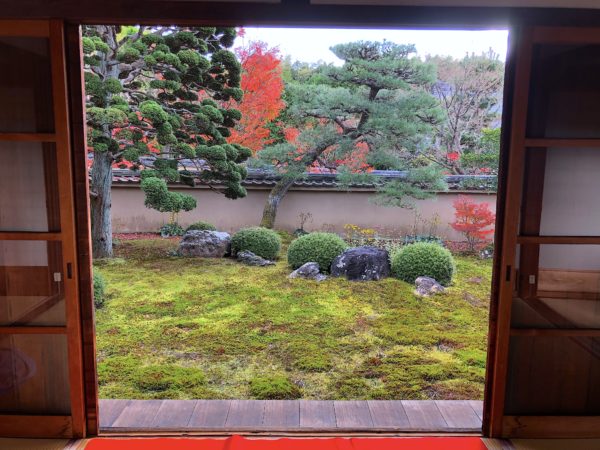 東福寺 天得院庭園