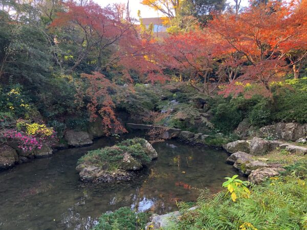 浜松城公園 日本庭園