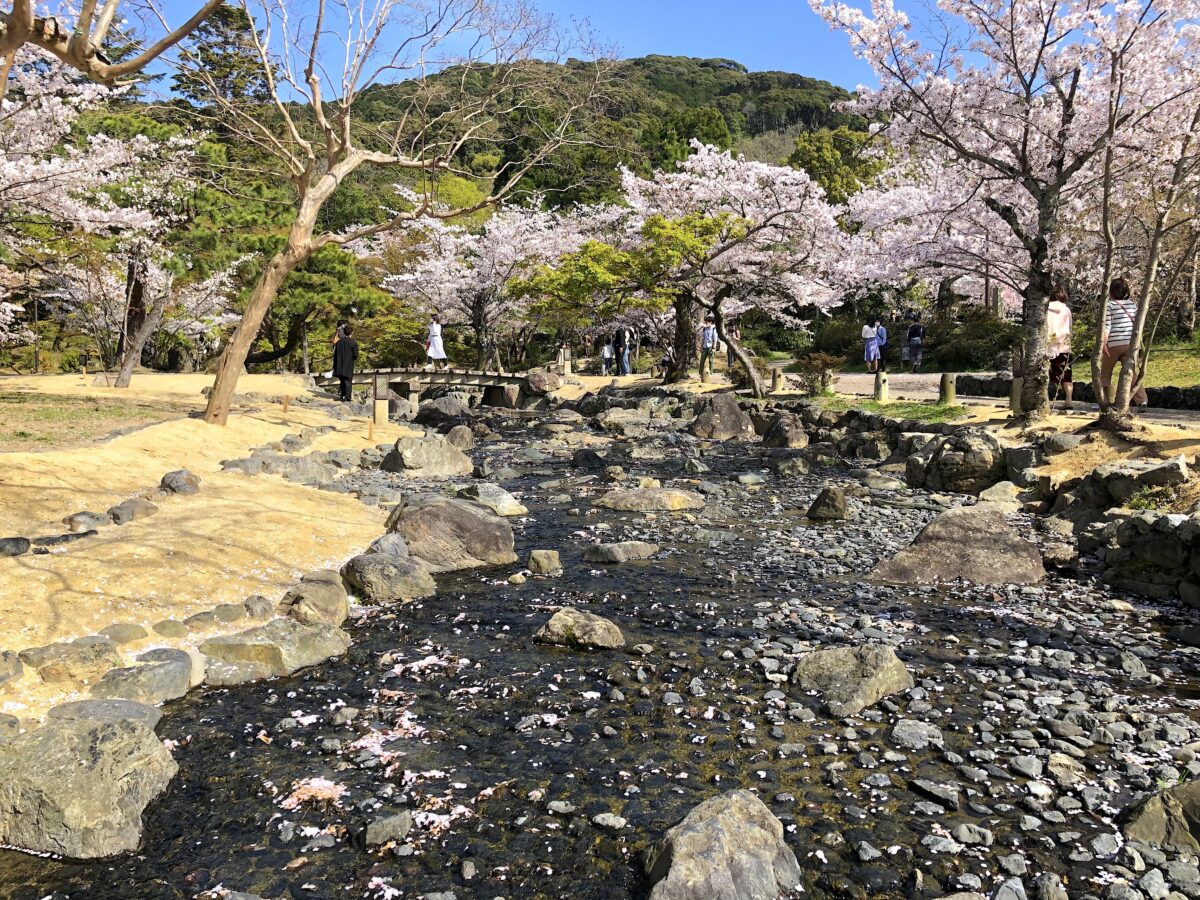 円山公園 日本庭園 小川治兵衛作庭 京都市東山区の庭園 庭園情報メディア おにわさん