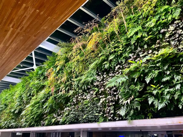 新山口駅“垂直の庭”