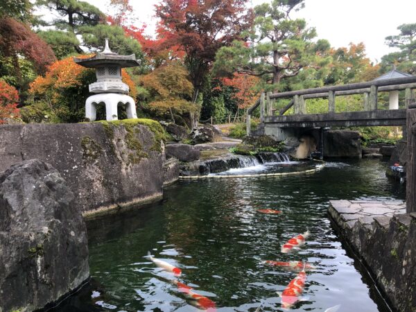 錦鯉の里 日本庭園