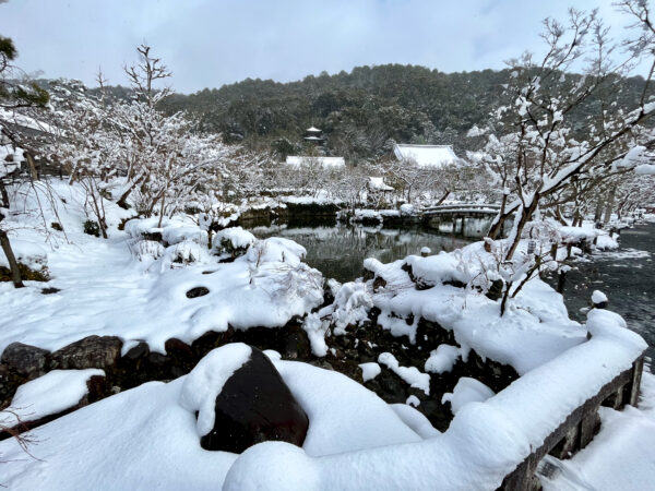 雪の永観堂 禅林寺