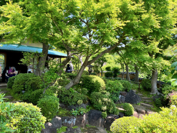 等々力渓谷公園 日本庭園
