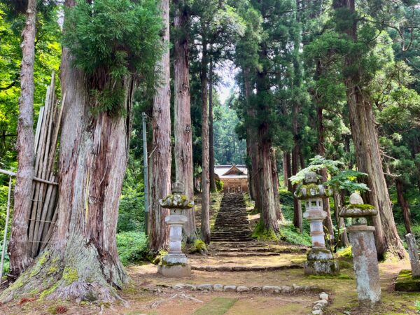 高靇神社社叢