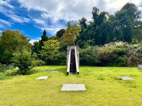 ぶなが池植物公園「マザーツリー空中庭園」