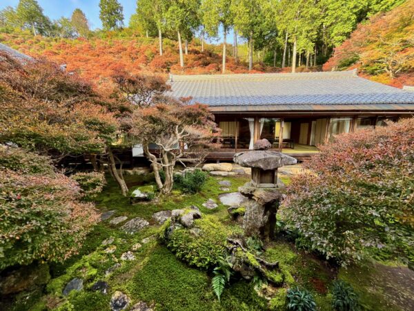 大龍寺 ドウダン庭園