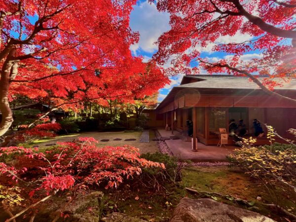 北山緑化植物園・北山山荘庭園