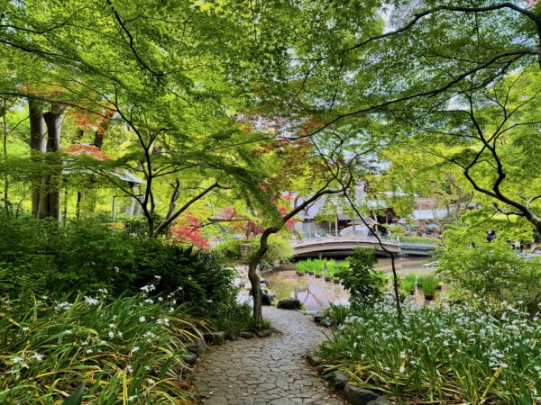 熱田神宮 南神池