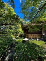 日本の庭 伊藤ていじ 岩宮武二 亀倉雄策 THE JAPANESE GARDEN
