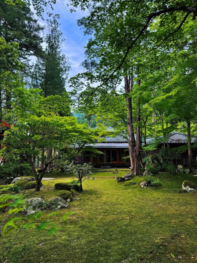📸梅田氏庭園（福井県池田町／国指定名勝）②
Umeda-shi House Garden, Ikeda, Fukui
続き。なお現在の邸宅建築は庭園と比べると新しく、庭園公開時は建物には上がれません…が、その代わりに（2025年春の公開時の）この庭園の最大の特徴は「苔の上を歩きながら鑑賞すること」。🌱
通常は『踏まれると痛む』ので、鑑賞者が踏んで歩くのは御法度！な苔。でもこの梅田氏庭園は幾つかの条件が揃って（鑑賞ポイントの家屋が現役の個人邸である／普段非公開で、継続的に人が歩く訳ではない／苔むしやすい湿度が高い環境）、苔の上を歩きながら庭園鑑賞する形になります（でもなるべく平たいソールの靴を推奨）。
もちろん飛び石がある所は飛び石を歩いて。石のベンチも苔むしている…！
■西庭（②③）
入場門入ってすぐ、邸宅の前庭。全面苔むした庭園のプロローグで、奥の方へと続く苔と青もみじの青々した姿が見通せてワクワクする。
邸宅側から西側を向くと三尊石組が配されています。シンプルな造形だけど同じ福井県の国指定名勝庭園で言うと『旧玄成院庭園』を思い出す。
■南庭（①④⑤）
西庭から連なるように広がる南庭。手前左右に吉兆を表す鶴島・亀島を配し、奥には山の斜面を活かした滝（飛瀑）を中心とした池泉庭園があります。
この2〜3メートルある滝がド迫力！鎌倉〜室町初期の庭園でこんなに大きな滝のある庭園って他にあるかな…（後年の改修かもしれないけど）。その斜面に連なる石積も「豪族の居館」といった迫力！
この南庭、家屋側へ振り返ると山の借景が。借景となっている山の名は「愛宕山」「高尾山」（高雄山）で、かつての領主が“京を懐かしんで”名付けられたのだとか。⛰️
続く。
▼他の写真や解説のつづきは @oniwastagram のプロフURLかこのURLから。
For more photos and commentary, please visit @oniwastagram 's profile URL or this URL.
https://oniwa.garden/umeda-garden-fukui/
————————
#japanesegarden #japanesegardens #kyotogarden #zengarden #japanesearchitecture #japanarchitecture #japanarchitect #japandesign #jardinjaponais #jardinjapones #japanischergarten #jardimjapones #gardendesign #landscape #landscapedesign #garden 
#庭園 #日本庭園 #ランドスケープ #北陸庭園 #福井県 #fukui #越前市 #越前 #武生 #えちぜん武生 #池田町 #苔庭 #mossgarden #おにわさん