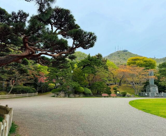 📸函館公園（北海道函館市／国登録名勝）
Hakodate Park, Hakodate, Hokkaido
開港五港・函館⚓️に明治時代に造園された“北海道初の洋式公園”は国登録記念物（名勝地）や日本の歴史公園100選に選定の近代を代表する都市公園の一つ——
近代に作庭された日本庭園“北海池”や北海道指定有形文化財の洋風建築も。
————————
「函館公園」は北海道函館市のシンボル「函館山」⛰️の麓に明治時代初期に開園した都市公園。
近代に造園された都市公園の代表的な事例として、国登録文化財（国登録記念物・名勝地関係）や #日本の歴史公園100選 、北の造園遺産などに選定。
国の文化財に登録されている“園地”だけど、これまで“日本庭園”的な空間は無いと思い込み訪れていませんでした…が、ありました（園内北西部に位置する“北海池”〜“ひょうたん池”）。そしてそれもどうやら近代の日本庭園。
その歴史について。函館公園の開園は1879年（明治12年）（※原型が出来たのは1874年）で、日本の都市公園の始まりの制度「太政官布達」の6年後のこと。その特色は初期の都市公園の中でも“国際都市ならでは”のデザインは背景を持つこと。
知っての通り幕末〜明治時代に“開港五港”の一つとなり、国際的な港町が形成されていった函館。
この公園の計画・造園にあたっても日本人だけでなく函館駐在の英国領事：リチャード・ユースデン🇬🇧が市民に対し呼び掛け、デザイン的にも“北海道初の洋式公園”として開園。城郭や神社仏閣の旧境内地が都市公園に置き換わる例が多い中で（水戸『偕楽園』、『奈良公園』、新潟『白山公園』とか）、ゼロベースで開かれた近代公園でもあります。
先述のユースデンの呼び掛けの元、函館の豪商・渡辺熊四郎らが資金や樹木、石材などを提供。浅田清次郎を設計・施工の責任者（監督）として、開拓使や市民が自ら働き手となって計48,000平方メートルの広大な都市公園が造園。市民参加で造園されたことから“日本初のパートナーシップ型都市公園”とも評されます。
更に開園と同時に建築された洋風建築『開拓使函館仮博物場（旧函館博物館1号）』は日本で現存する最古の洋風木造建築の博物館とされ、その5年後に建築された『旧函館博物館2号』と共に北海道指定有形文化財。
更に現役のミニ遊園地「こどものくに」にある観覧車（「函館公園こどものくに空中観覧車」）も国内で現存する最古の観覧車！🎡と言われ、国登録有形文化財。公園が歴史あって文化財…というだけじゃない！
公園の北東部に、公園の中心と言える「中央噴水広場」があります（噴水自体は昭和年代に整備されたもの）。
先で“北海道初の洋式公園”と書いたけれど、このエリアからの函館山の借景や築山「明治山」、亀島の様な石組の中のマツや刈り込みの寄せ植え、石橋「白川橋」からの流れ〜滝＋紅葉林の眺め…この辺の雰囲気や見せ方は「日本庭園」。石橋の先に現れる旧函館博物館2号館の前のマツも巨大な盆栽の様でめちゃくちゃ立派！（近代の豪邸にある車寄せのよう）
続く。
▼他の写真や解説のつづきは @oniwastagram のプロフURLかこのURLから。
For more photos and commentary, please visit @oniwastagram 's profile URL or this URL.
https://oniwa.garden/hakodate-park-hokkaido/
————————
#japanesegarden #japanesegardens #kyotogarden #zengarden #japanesearchitecture #japanarchitecture #japandesign #gardendesign #landscape #landscapedesign #japanlandscape #garden 
#庭園 #日本庭園 #北の造園遺産 #北海道建築 #近代建築 #文化財 #文化財庭園 #函館 #函館市 #hakodate #hakodatetrip #函館観光 #函館旅行 #都市公園 #近代日本庭園 #ランドスケープ #おにわさん